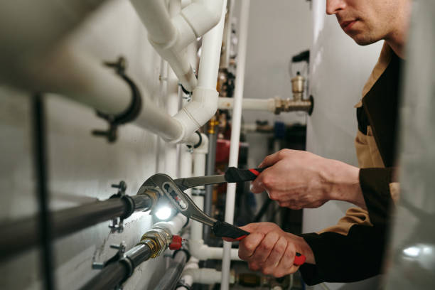 Best Drain Cleaning Services  in Bridgeville, DE
