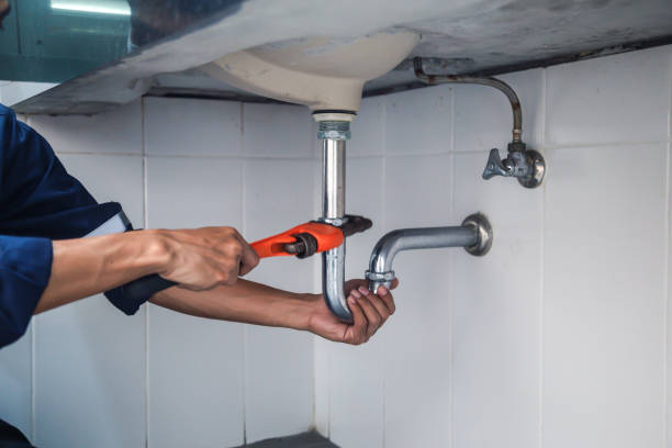Best Commercial Plumbing Services  in Bridgeville, DE