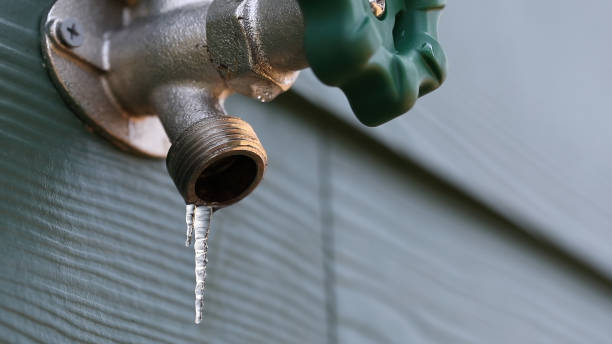 Best Local Plumber Services  in Bridgeville, DE