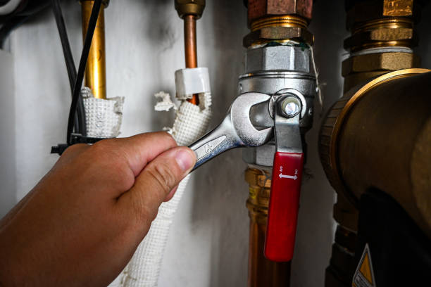 Best Leak Detection Services  in Bridgeville, DE